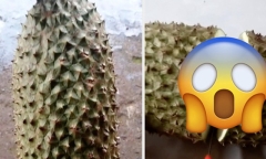 Clip: Thanh niên khui trái sầu riêng có hình thù kỳ dị, bên trong còn khiến dân mạng