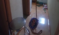 Điều tra vụ nam sinh lớp 10 tử vong trong tư thế treo cổ tại nhà riêng