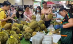 Trung Quốc mua sầu riêng Việt Nam tăng gấp 6,5 lần