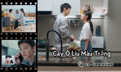 Cây Ô Liu Màu Trắng tập 23-24 Preview: Tống Nhiễm phẫu thuật mắt, Lý Toản ra mắt mẹ vợ?