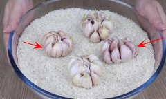 Công dụng của việc vùi củ tỏi vào thùng gạo
