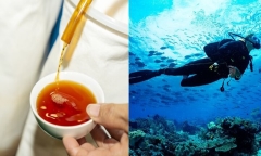 Vì sao thợ lặn uống nước mắm trước khi xuống nước?