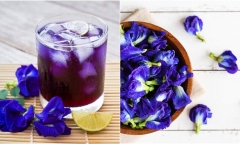Sự thật về hoa đậu biếc: Có phải là phương pháp giảm cân hiệu quả?