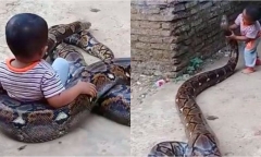 Clip: Bé trai hồn nhiên nô đùa với 