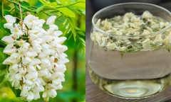 Bạn có nên uống nước hoa hòe mỗi ngày?