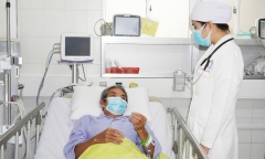 Ăn cá nóc tự bắt trong vườn, 3 người tại Cần Thơ nhập viện cấp cứu