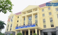 VATM ước đạt 572,5 tỷ đồng lợi nhuận trước thuế sau 7 tháng đầu năm