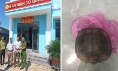Cận cảnh hàng trăm viên ngọc động nhiều màu sắc ở Phong Nha - Kẻ Bàng
