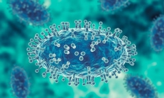 Đưa trái phép virus đậu mùa khỉ vào Mỹ, hai nhà nghiên cứu bị truy tố 