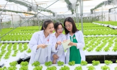 Theo khối B học gì ngoài ngành y?
