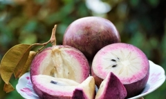 1 quả vú sữa bao nhiêu calo