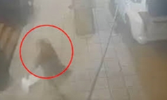 Vụ cô gái bị đâm tử vong trên vỉa hè ở TP.HCM: Camera tiết lộ hình ảnh đáng sợ tại hiện trường, danh tính nghi phạm