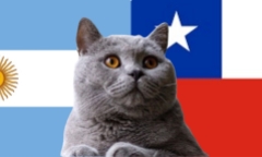 Nhận định soi kèo trận Argentina vs Chile, 7h ngày 6/9: Mèo tiên tri múa điệu Tango