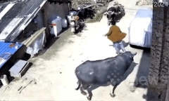 Clip: Nghe tiếng vợ kêu cứu, người chồng đã làm điều không ngờ để cứu vợ