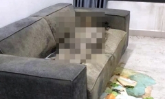Vụ thi thể cô gái trên sofa ở Hà Nội: Cán bộ pháp y lý giải hiện tượng chết khô