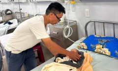 Xác minh vụ bé sơ sinh bị bỏ rơi tại ngã ba đường, kiến bu khắp người ở Gia Lai 