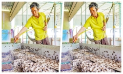Anh nông dân tiền tiêu rủng rỉnh nhờ nuôi loài thích 
