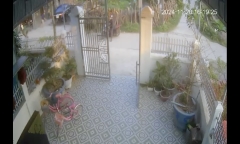 Clip: Khoảnh khắc trâu 