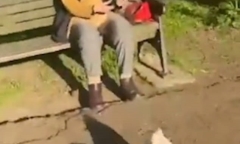 Nam thanh niên 18 tuổi bị bắt vì theo trend lạ để nổi tiếng trên TikTok