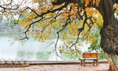 Tin tức dự báo thời tiết hôm nay 26/11: Hà Nội vẫn nắng, đêm và sáng rét