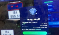 Đề xuất giải pháp xử lý triệt để tình trạng bỏ cọc sau khi trúng đấu giá tài sản