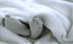 Người dân vội báo cảnh sát khi phát hiện điều kinh hãi trong túi giấy gần khách sạn