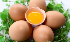 Tại sao nên ăn trứng vào buổi sáng? 