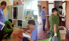 Nữ chủ nhà ở Hải Phòng bị tấn công, cướp tài sản lúc rạng sáng