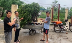 Ổ nhóm chỉ trộm cây cảnh giá 100 triệu đồng trở lên, gây án vào 1-2 giờ sáng 