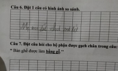 Đề bài yêu cầu đặt câu so sánh, học sinh tiểu học lấy mẹ làm ví dụ khiến dân tình