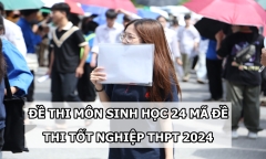 Đề thi môn Sinh học 24 mã đề tốt nghiệp THPT 2024 chuẩn nhất, chính xác nhất