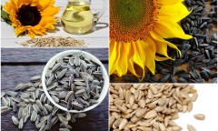  Chủ tịch Đèo Cả chia sẻ bí kíp xây dựng những công trình 