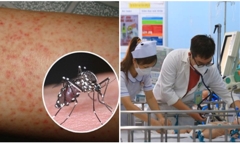 Hà Nội phát hiện thêm 59 ổ dịch sốt xuất huyết, nguy cơ bùng phát dịch bệnh
