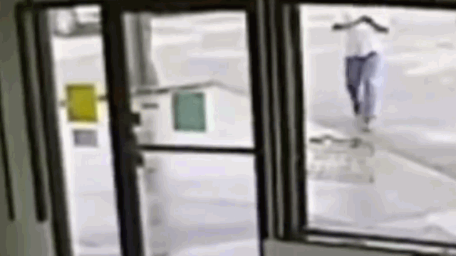 Clip: Chăm chú bấm điện thoại, nam thanh niên dẫm phải rắn và cái kết hú hồn