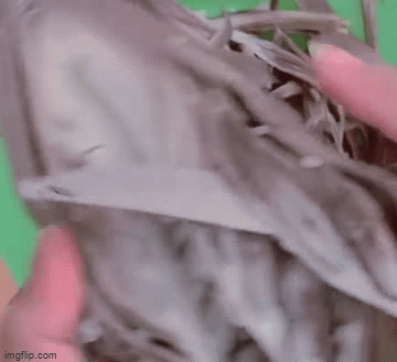 Cô gái khoe món ăn yêu thích, dân mạng liền mê mẩn vì nguyên liệu dân dã nhưng “ngon bá cháy”