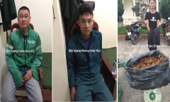 Bắt nhóm đối tượng nhập lậu sâm từ Trung Quốc về