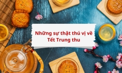 Tết Trung thu là gì? Nguồn gốc và những sự thật thú vị về Tết Trung thu