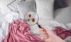 10 đồ vật cực quen thuộc với các gia đình nhưng tiềm ẩn nguy cơ gây ung thư