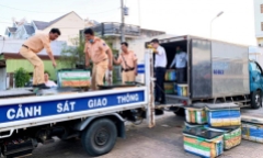 Phát hiện 600kg tôm chứa tạp chất đang trên đường vận chuyển đi tiêu thụ