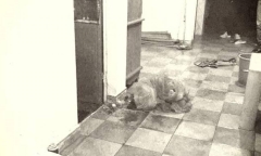 Thiếu nữ bị sát hại và tội ác kinh hoàng của gã sát nhân đất Cảng (kỳ 2): Lộ diện hung thủ