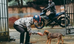 Bắt quả tang 2 đối tượng trộm chó đang trên đường đi tiêu thụ 
