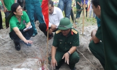 Bóc mẽ 