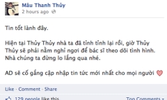 Mâu Thanh Thủy bị giật túi xách gây chấn thương nghiêm trọng