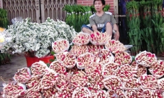 Quà tặng 20/10: Đến ngày 19 vẫn vắng khách mua