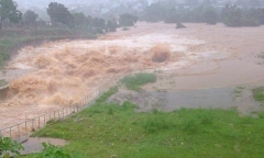 Tin tức cơn bão số 8 mới nhất: Dự báo đổ bộ vào tối mai (25/10), miền Trung mưa lớn trở lại