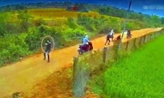 Điều tra nhóm thanh niên nổ súng vào nhà dân ở Bình Thuận