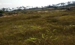 Clip: Bị người dân xua đuổi, báo hoa mai “khát máu” vào tấn công khiến 4 người bị thương 