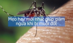 Mẹo hay mới nhất giúp giảm ngứa khi bị muỗi đốt