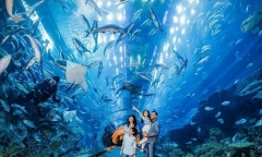 Thủy cung Times City có gì