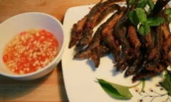 Có nên ăn cá chạch thường xuyên không?